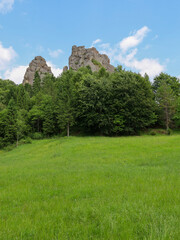 Mighty rock formations towering over a green forest create a captivating mountain landscape. A bright green meadow stretches out in front of them, illuminated by sunlight under a blue sky.