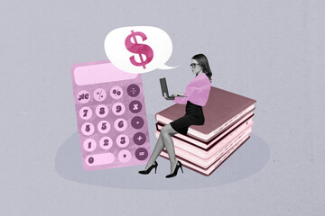 3d sketch image full collage of happy businesswoman stand calculator tool count dollar income book...