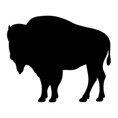Strong Black Silhouette of an American Bison Standing in Profile View