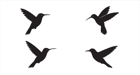 Hummingbird silhouettes on white background