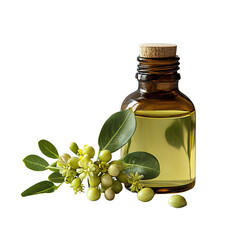 Natural essential oils extraction aromatherapy studio product photography calm environment close-up view wellness concept