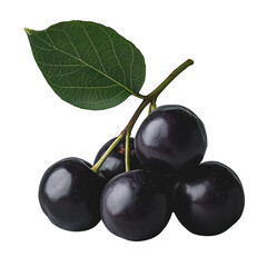 Harvesting jambolan fruits tropical orchards fresh produce images natural setting close-up view nutritional benefits of oils