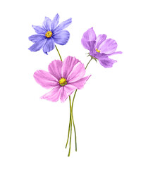 Bouquet of pink and purple flowers. Hand drawn watercolor illustration