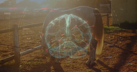 Standing horse showing AR scan with red nodes in sunlit paddock, with wooden rail fence, dirt