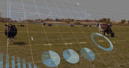 Standing facing camera brown and white cow in pasture, with data overlays, tree line, copy space