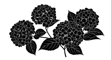 Solid black silhouette of a blooming hydrangea flower cluster with leaves on an isolated white background.