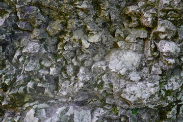 Limestone Rock Wall with Moss Texture