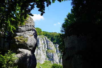 Majestic Limestone Cliffs Framed by Trees