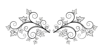 Elegant Black and White Decorative Swirl Design with Leaves, Ornate Floral Element on Isolated White Background