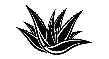 Stylized black silhouette of an Aloe Vera plant with sharp leaves on an isolated white background, conveying natural and minimalist aesthetic.