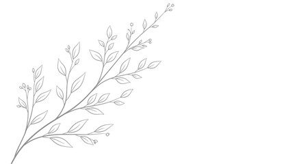 Delicate Thin Twig with Small Leaves Line Art Illustration on Isolated White Background