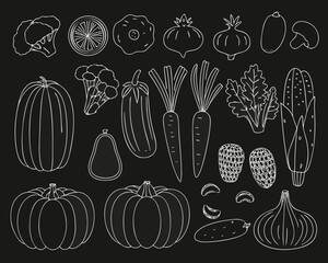 Collection of hand drawn vegetables and fruits on black background