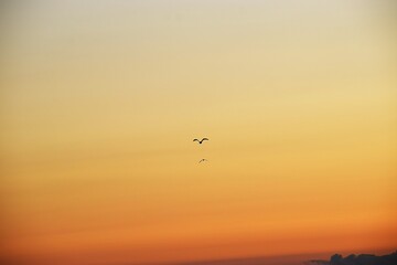 Sunset over the sea with cloudy sky