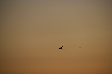 Sunset over the sea with cloudy sky
