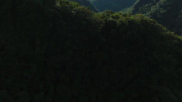 Brazil &ndash; 4K Cinematic Epic Drone Aerial of Atlantic Forest (Mata Atl&acirc;ntica)