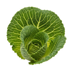 Obraz premium Fresh green savoy cabbage isolated top view healthy vegetable food ingredient natural organic produce transparent background