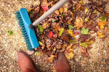 Autumn (fall) - sweeping colorful leaves with a blue brush. Captured from above (top view).