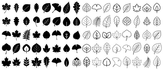 Leaf Set Svg. Extensive vector set of diverse autumn leaves, featuring silhouettes and outlines of various tree species like oak, maple, and ginkgo, ideal for seasonal and botanical designs.