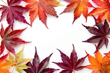 Fototapeta premium Colorful autumn leaves frame