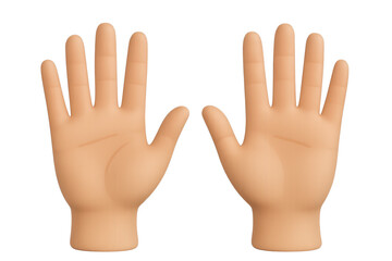 Obraz premium Realistic 3D illustration of human hands raised up isolated on white background, left and right hand front view, educational anatomy concept 