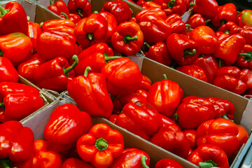 A large quantity of fresh red bell peppers arranged in cardboard boxes at a market or distribution center. Seasonal vegetables, farm-to-table, local produce, sustainable farming