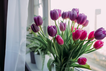Bouquet of pink and purple tulips in a glass vase on a windowsill with city view. Fresh spring...
