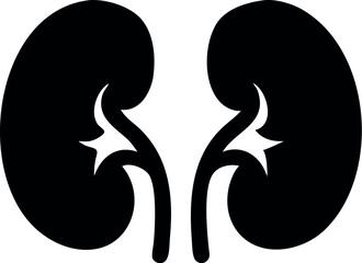 Human kidneys silhouette vector