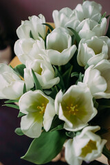 Close-up of a bouquet of white tulips with yellow centers in craft paper. Elegant spring flowers symbolize purity and freshness, ideal for gifts, celebration, and stylish floral arrangements