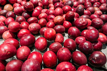 A large quantity of ripe purple passion fruits displayed on a market surface. Exotic fruits,...