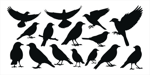 Assortment of Bird Silhouettes with Wings Spread and Standing on White Background birds avian
