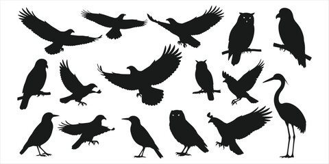 Diverse collection of black bird silhouettes in flight and perched on white background birds flying