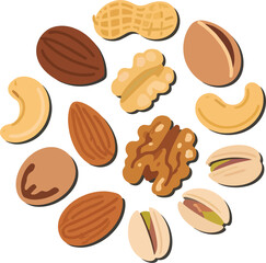Roasted Nuts Vector Illustration – Almonds, Cashews, Walnuts, Pistachios, Peanuts