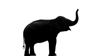 Dark elephant silhouette stands against pure black backdrop. Use for artistic posters, unique branding, animal conservation awareness.