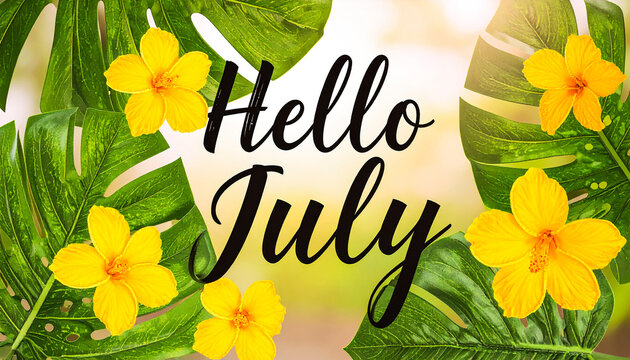 Hello july phrase with bold script decorated using summer leaves