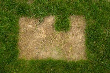 Dry imprints of square objects on green grass lawn, unusual patterns and textures in nature