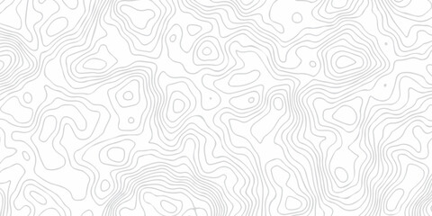 topography white background and black line wireframe isoline location diagram world map texture design.	
