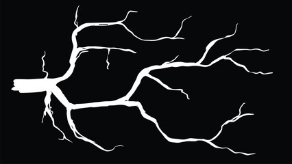 Abstract vector illustration of bright white lightning bolts branching across a black background, symbolizing electricity, power, and energy.