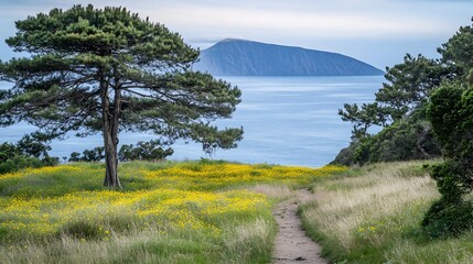 Coastal Trail Path with Yellow Wildflowers and Ocean View