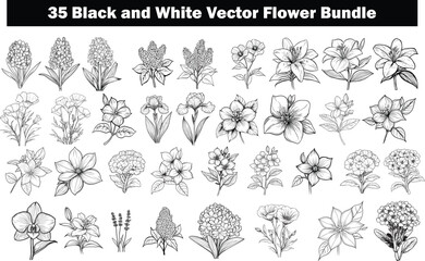 Black and White Botanical Illustrations, An assortment of 35 black and white vector flower illustrations, showcasing botanical elegance. Perfectly suited for various creative applications