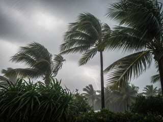 Stormy Day Palm Trees Battling High Winds and Lightning Strikes
