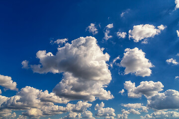 White clouds slowly drift against the blue sky, cumulus white clouds on a bright sunny day in the blue sky extending to the horizon, fluffy textured clouds in the sky, heavenly background.