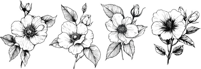 Elegant Hand Drawn Rose Illustration, Single Stem Rose Botanical Outline, Modern Floral Vector Art with a Minimalist Style.