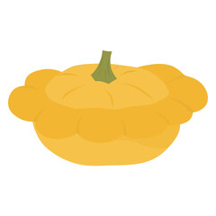 Pattypan squash illustration, yellow squash vector. Scallop squash vegetable artwork