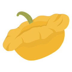 Yellow pattypan squash illustration. Scallop squash vector artwork. Squash harvest illustration