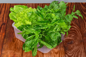 Green basil in plastic container on a wooden surface