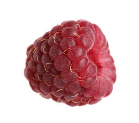 One fresh ripe raspberry isolated on white
