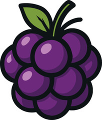 Vibrant bunch of purple grapes with green leaf