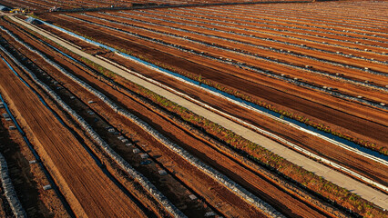Aerial view of a large peat bog harvesting site with long parallel rows of extracted peat, wooden pallets, and covered stacks stretching across the landscape.