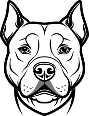 Vector illustration of a cute American Pit Bull Terrier  head portrait on white background.