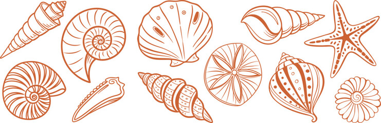 Hand-drawn seashell and starfish collection in orange line art style, perfect for marine, nautical, and coastal design projects. Detailed ocean shell sketches for summer themes. High-quality 